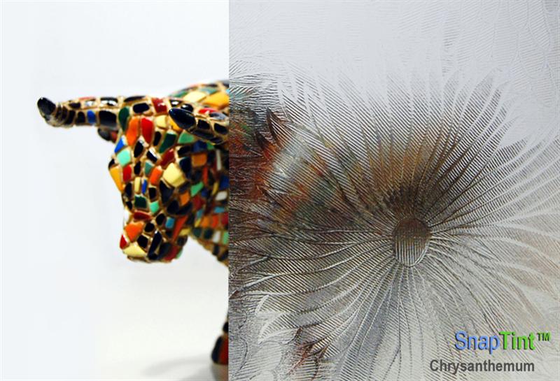 Chrysanthemum