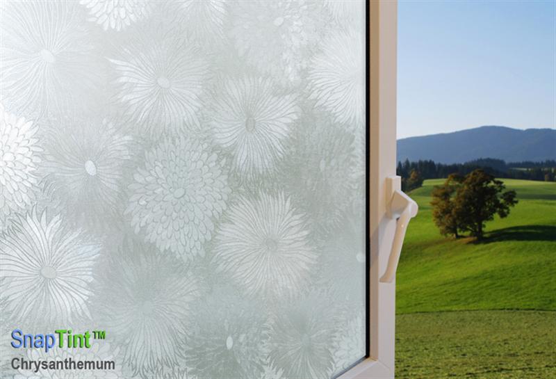 Chrysanthemum