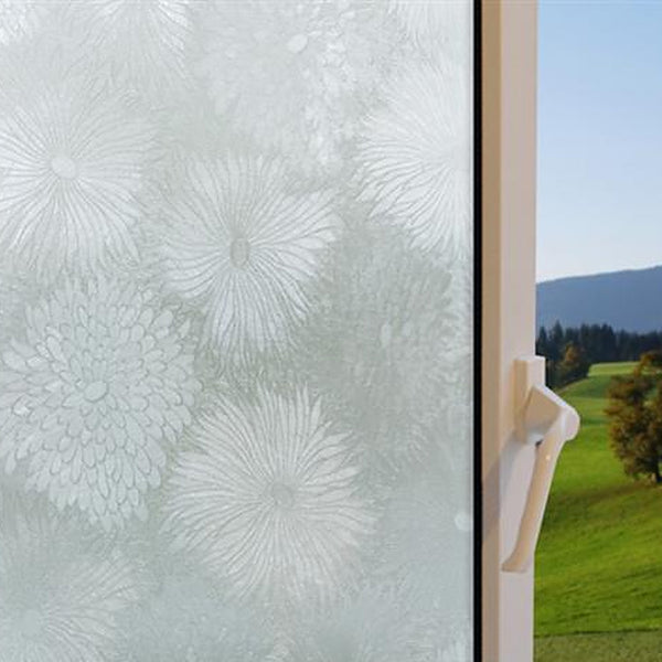 Chrysanthemum